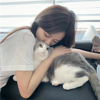 优质杀手